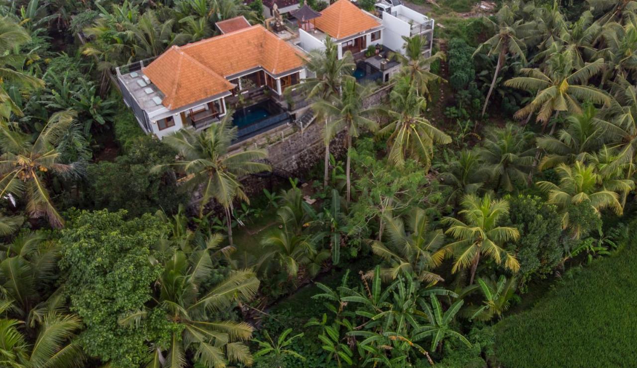 The Shea Ubud Tranquility Villa With Private Pool المظهر الخارجي الصورة