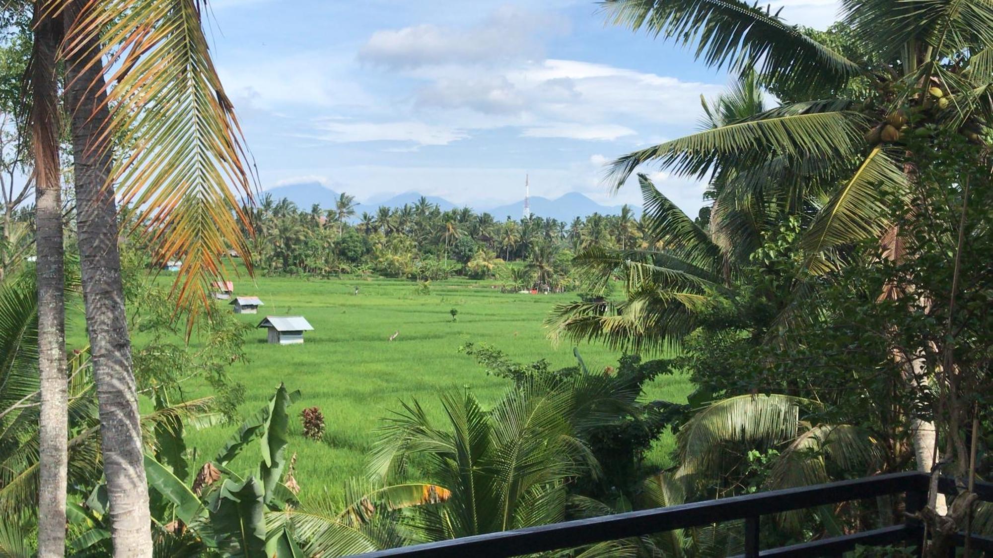 The Shea Ubud Tranquility Villa With Private Pool المظهر الخارجي الصورة